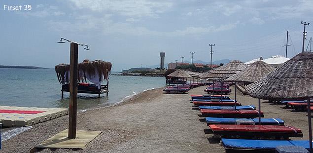 5d47b1d5-5a48-4.jpg